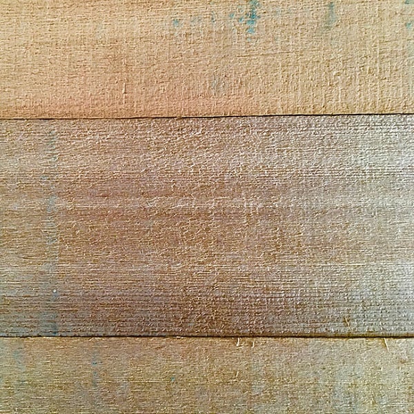 Blank