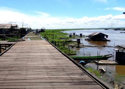 International Material 5